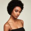 AFRO LACE WIG JUMBO COILED PIXIE