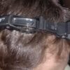 HAIR CLIP TONY&GUY – Image 4
