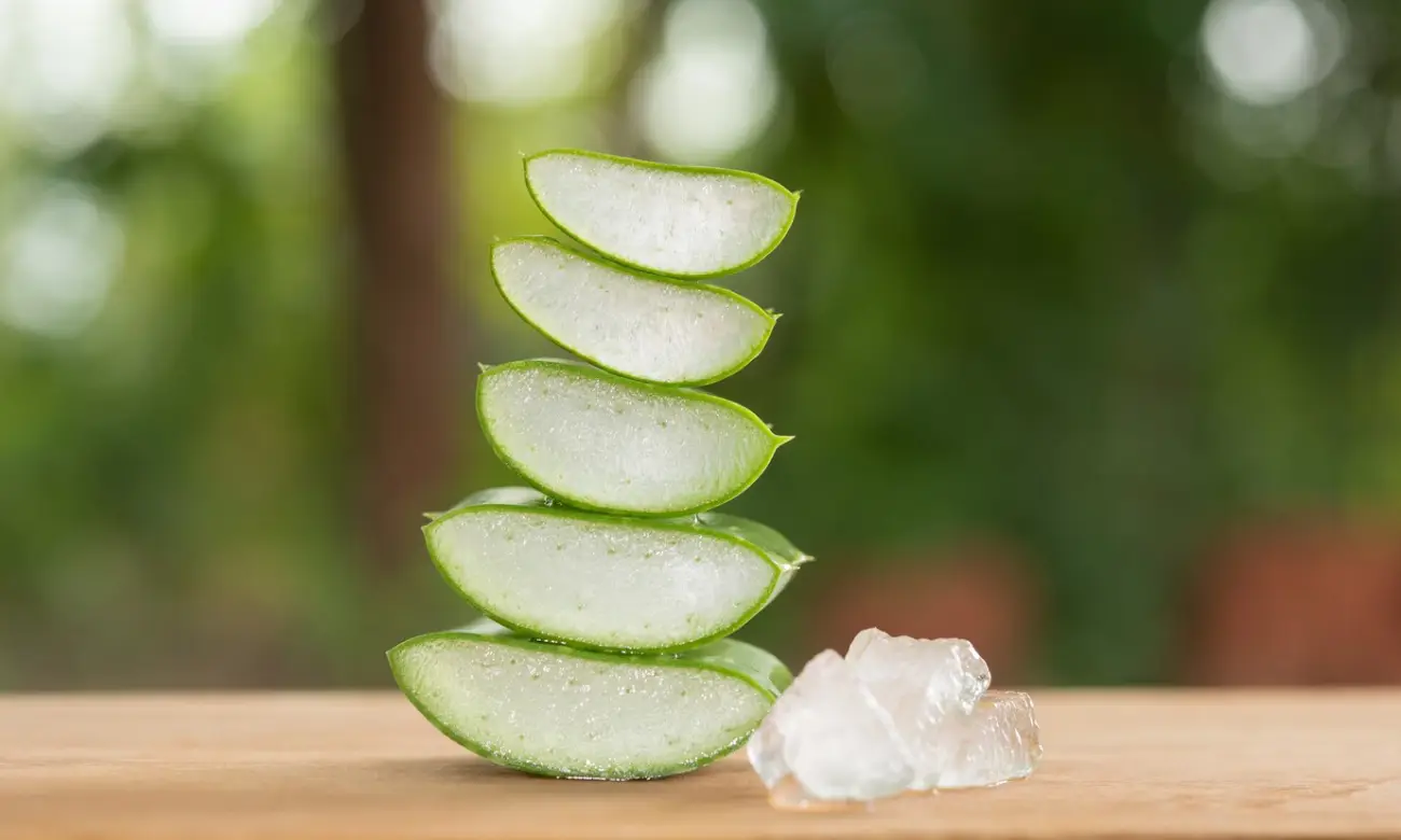 The benefits of Aloe vera